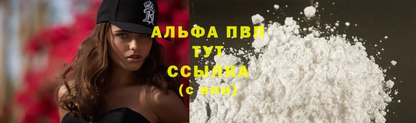 шишки Алзамай